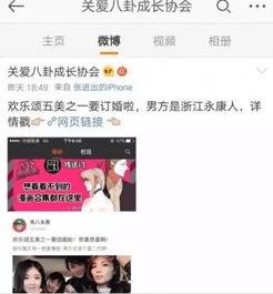 吃瓜娱乐圈小说封