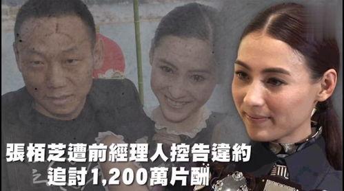 娱乐吃瓜汉,揭秘明星幕后故事