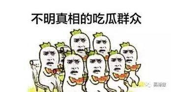 一个吃瓜群众的自我修养